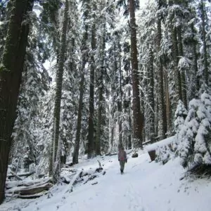 hike trail snow winter hiker yosemite march