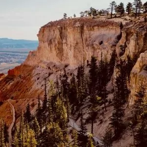 Bristlecone Pine trees line the steep cliffs of Bryce Canyon.