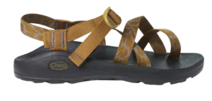 best camp shoe chaco z/cloud 2 
